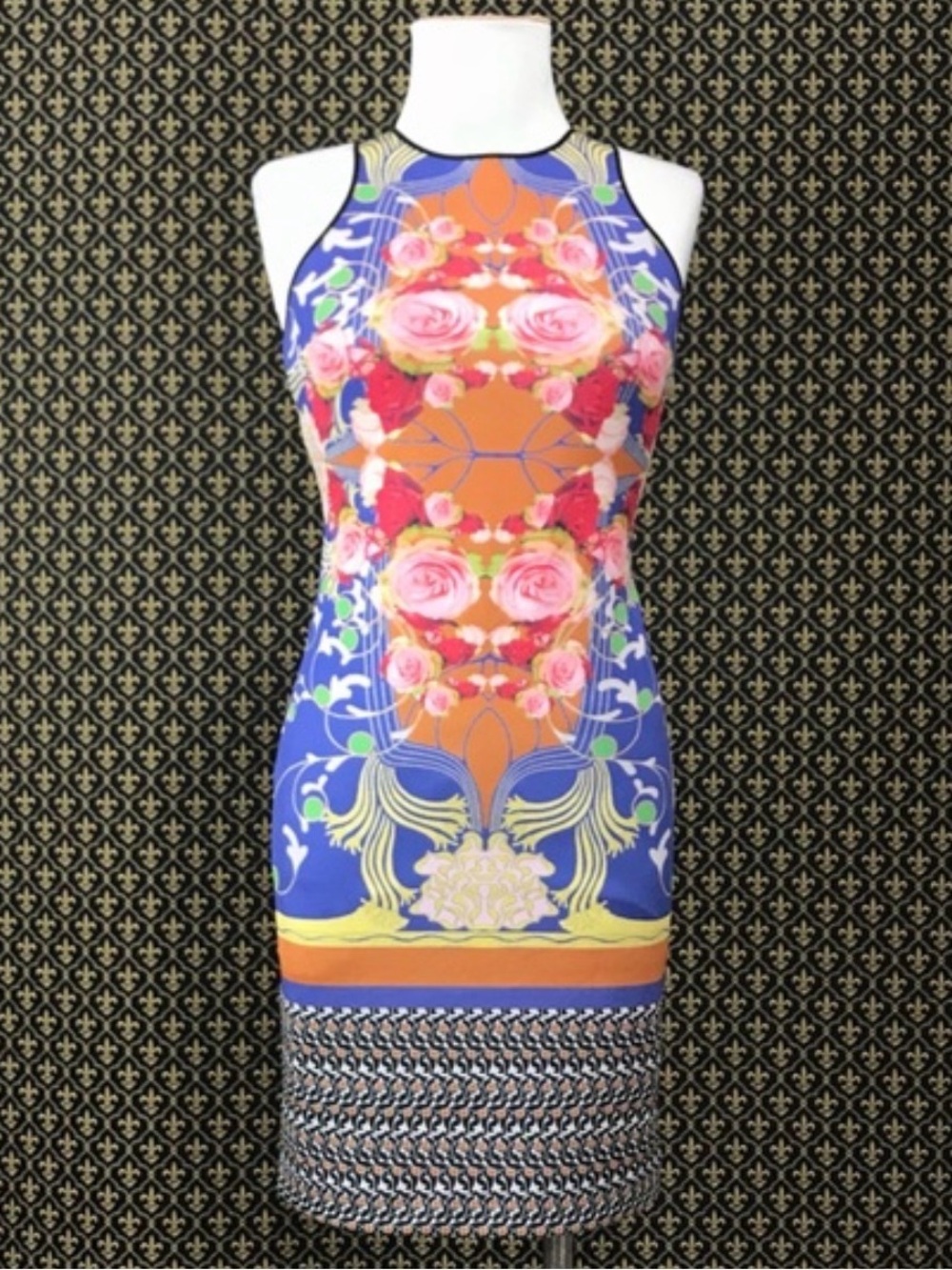 NWOT Dream Daily by Anthropologie Rose Bodycon Dress - Size M